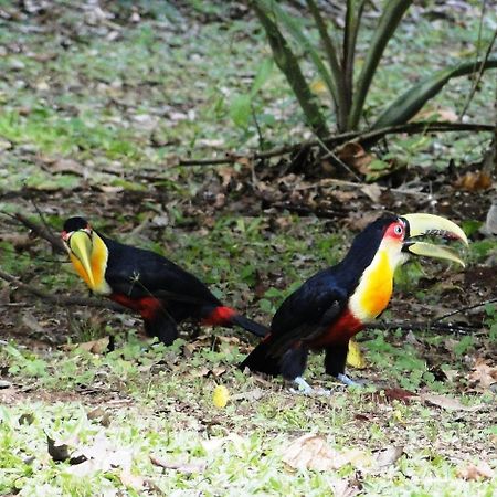 Yasi Yatere Reserva Agroecologica เอลโซแบร์บิโอ ภายนอก รูปภาพ