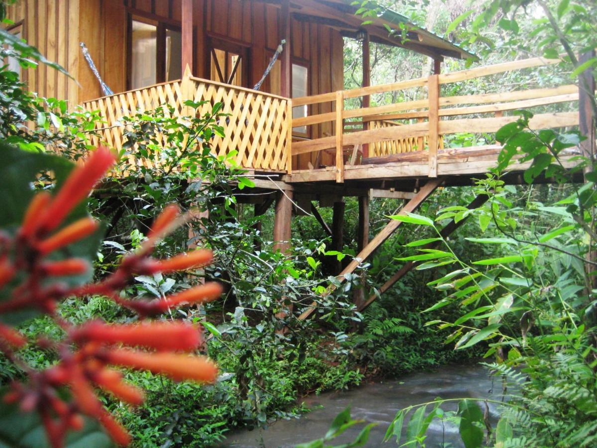 Yasi Yatere Reserva Agroecologica เอลโซแบร์บิโอ ภายนอก รูปภาพ