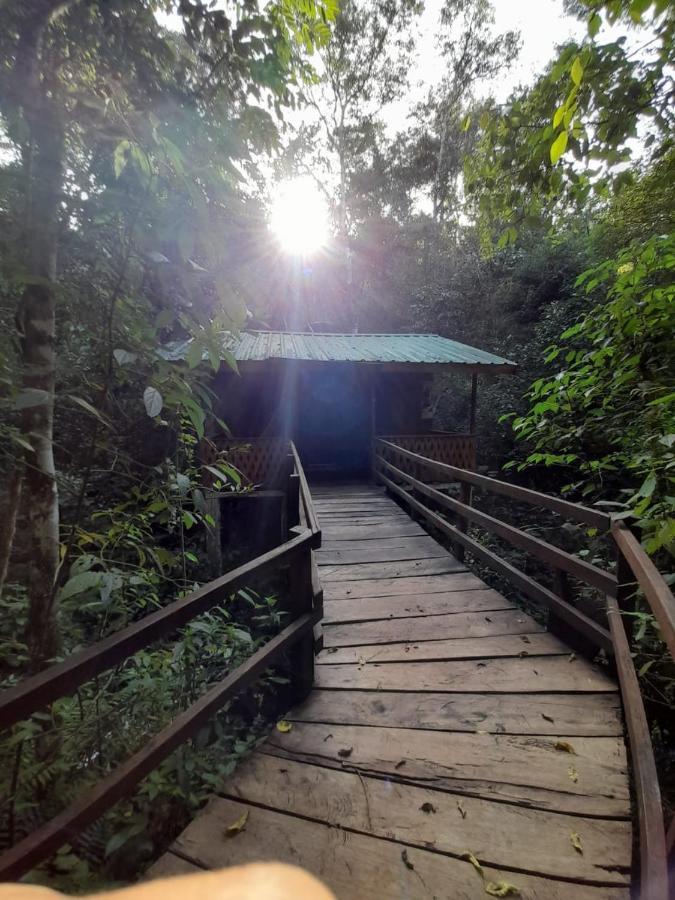 Yasi Yatere Reserva Agroecologica เอลโซแบร์บิโอ ภายนอก รูปภาพ