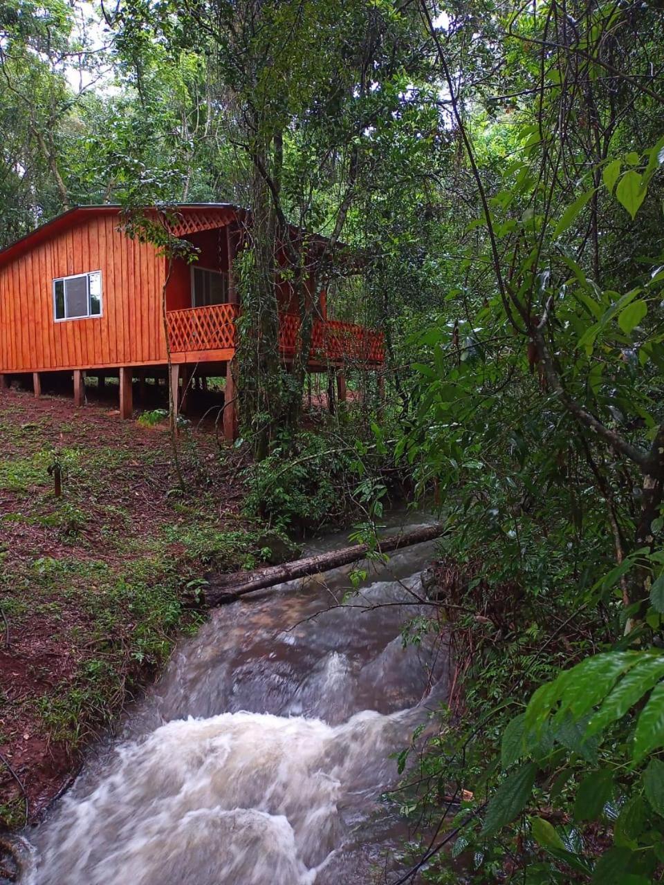 Yasi Yatere Reserva Agroecologica เอลโซแบร์บิโอ ภายนอก รูปภาพ