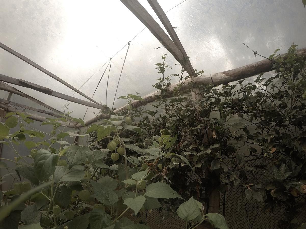 Yasi Yatere Reserva Agroecologica เอลโซแบร์บิโอ ภายนอก รูปภาพ