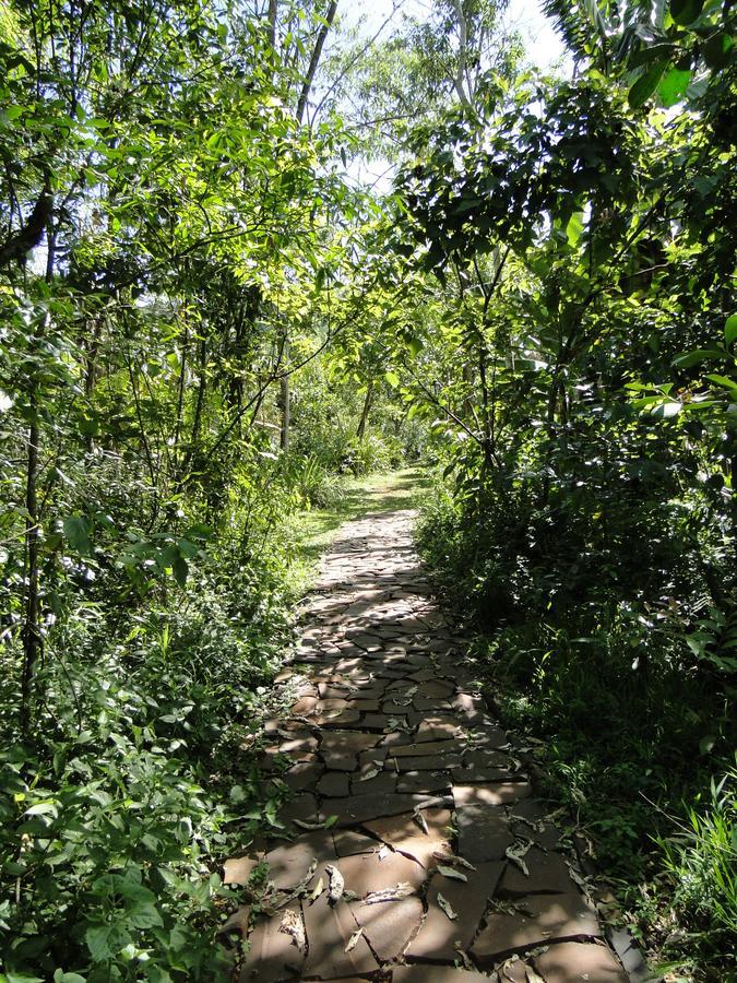 Yasi Yatere Reserva Agroecologica เอลโซแบร์บิโอ ภายนอก รูปภาพ