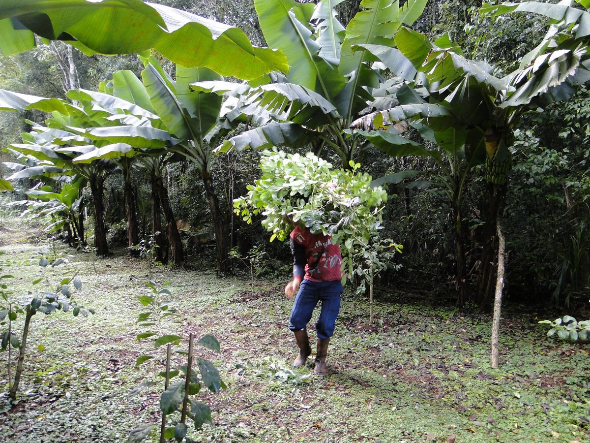 Yasi Yatere Reserva Agroecologica เอลโซแบร์บิโอ ภายนอก รูปภาพ