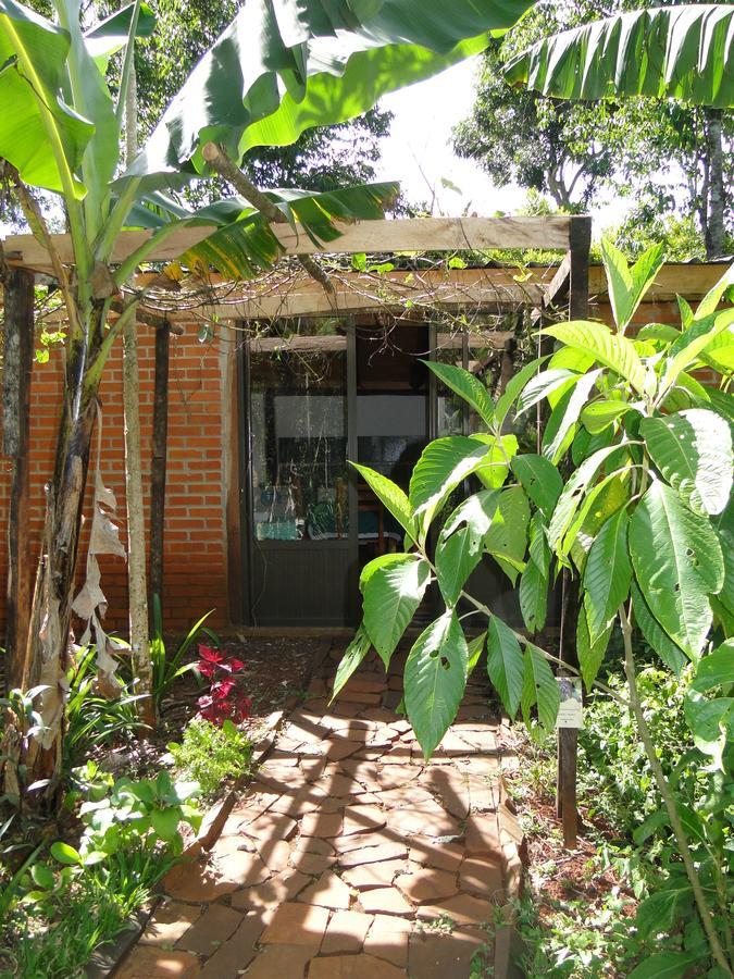 Yasi Yatere Reserva Agroecologica เอลโซแบร์บิโอ ภายนอก รูปภาพ
